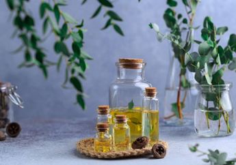 Minum Minyak Kayu Putih Dapat Menyembuhkan Covid-19, Benarkah?