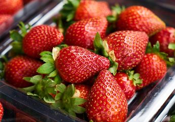 4 Arti Mimpi Memetik Stroberi, Tak Perlu Risau, Konon Lambangkan Keberuntungan dan Kemakmuran!