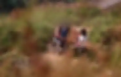 Tak Ada Gentle-gentlenya, Pemuda Ini Ngacir Tinggalkan Pacar di Kebun Sawit, Korban Langsung Jadi Pelampiasan Nafsu Bejat 4 Orang!