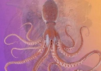 Arti Mimpi Gurita Harus Waspada! Bisa Jadi Pertanda Buruk di Masa Depan, Begini Penjelasan Lengkap Menurut Primbon Jawa 