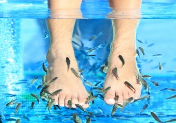 Pria ini Lakukan Spa Ikan, Setelah Selesai Penjaga Toko Terkejut Dapati Semua Ikannya Mati, Ternyata ini yang Terjadi