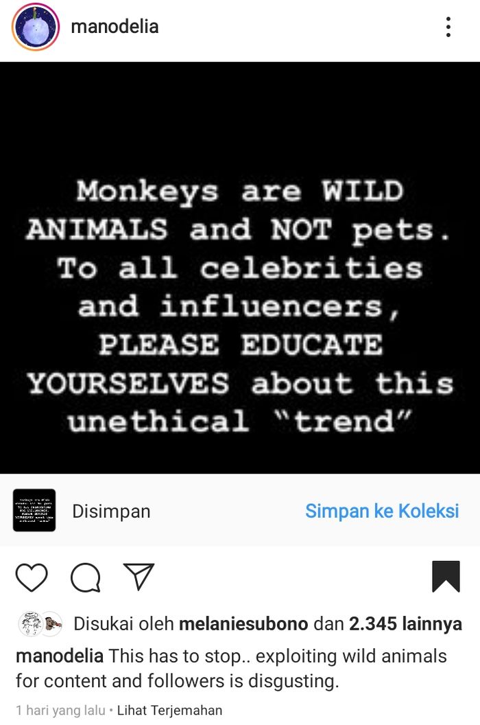 Manohara protes soal hewan liar yang dijadikan konten oleh para selebriti.