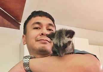 4 Arti Mimpi tentang Musang, Keamananmu Terancam karena Diam-diam Ada yang Mengintai, Waspada!