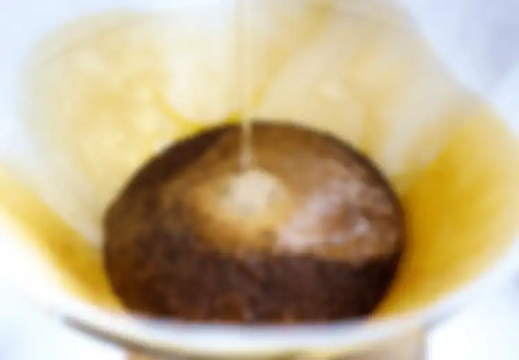 Jarang Diketahui, Ternyata Ampas Kopi Punya Beragam Manfaat Loh! Dari Manfaatnya untuk Kecantikan hingga Hewan Peliharaan