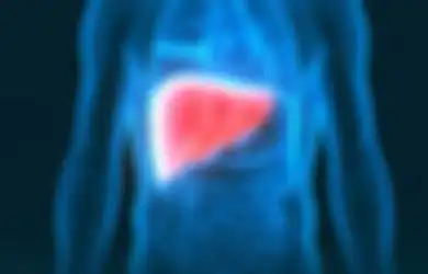 7 Tanda yang Menunjukkan Organ Liver Kita Bermasalah. Jangan Abaikan!