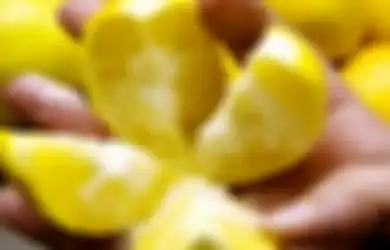 Obati Stres Hingga Bersihkan Ginjal, Ternyata Tak Sengaja Makan Lemon yang Ditaruh di Freezer Bisa Sembuhkan Penyakit Berbahaya, Hasilnya Bikin Kaget