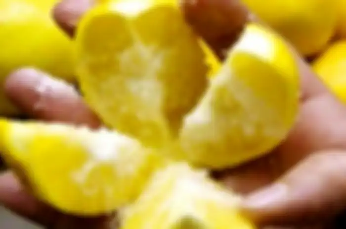 Kelupaan Taruh Lemon Di Freezer, Gak Disangka Begitu Dimakan Malah Sujud Syukur Lihat Efeknya, Ada Apa?