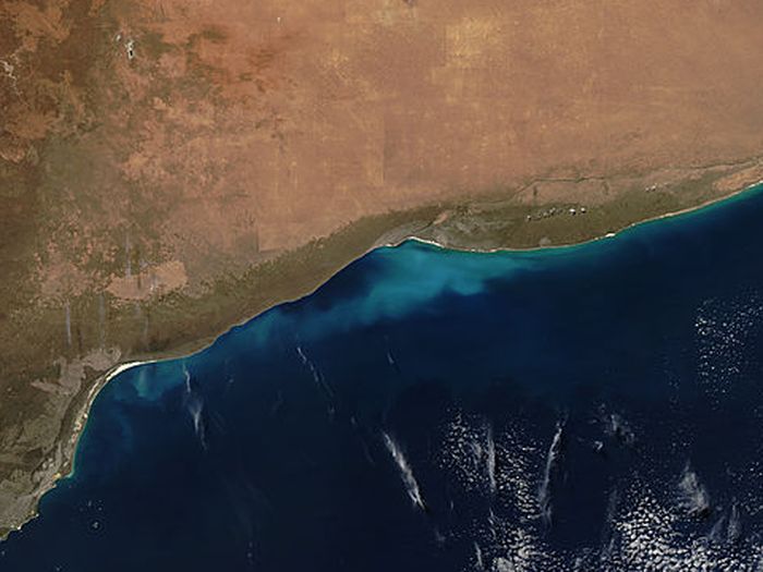 Fitoplankton yang bermekaran di pantai selatan Australia.