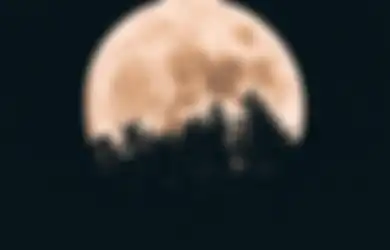 Ancang-ancang Bila Kiamat Terjadi, Ilmuwan Punya Rencana Gila Kirimkan 6,7 Juta Sampel Sperma ke Bulan, Memang Apa Hubungan Kiamat dengan Sperma di Bulan?