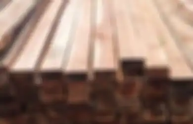 Kunyit yang Dia Tanam Diambil Sembarangan, Ketua RW Gebuk Warganya Sendiri dengan Balok Kayu Sampai Meninggal, Korban Ternyata Sempat Lakukan Hal Ini