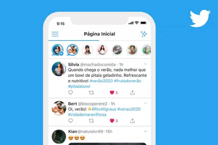 Fitur Fleets Twitter