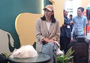 Rawat 23 Ekor Kucing, Tyas Mirasih Habiskan 40 Kilogram Dry Food Premium Sebulan, Segini Kisaran Biayanya