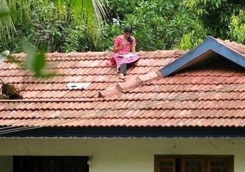 5 Arti Mimpi Manjat Genteng, Pertanda Baik Soal Karier dan Simbol Kebebasan, Simak Penjelasannya!