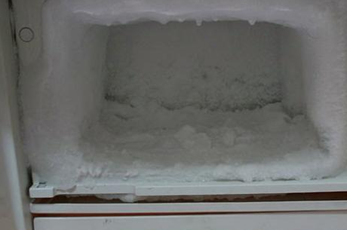Ilustrasi Bunga Es Freezer