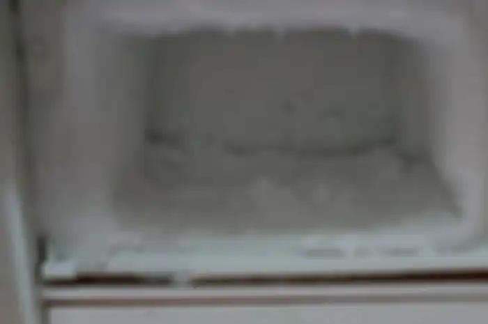 Ilustrasi Bunga Es Freezer