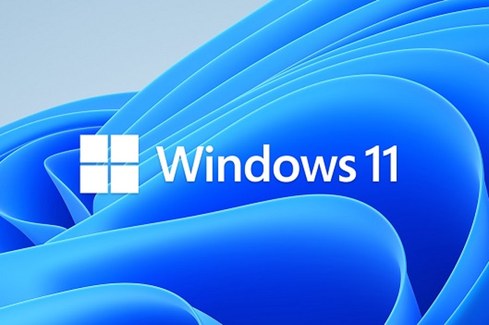 Windows 11