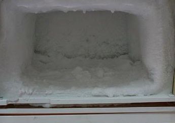 Jangan Dibiarin Numpuk! Begini loh Cara Membersihkan Bunga Es Freezer, Bisa Juga dengan Meletakkan Hal Ini