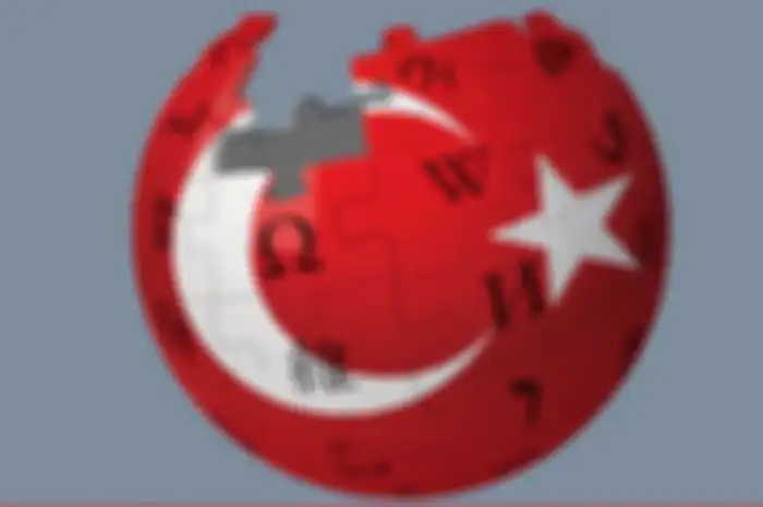 Wikipedia sudah diblokir di Turki sejak tahun 2017.