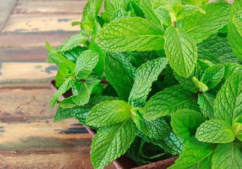 Tips Menghilangkan Mata Panda dengan Masker Daun Mint, Gampang Banget!