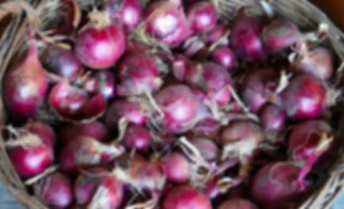 Bawang merah