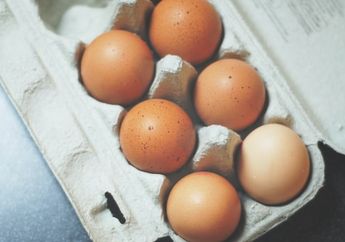  Arti Mimpi Tentang Telur Busuk Menandakan Kecemasan Seseorang Terhadap Persoalan Rumit Ini, Hati-hati!