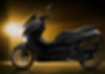  Ahok Bikin Batu Akik Naik Daun, Batu asal Bengkulu Pernah Ditawar Setara 37 Motor Yamaha NMAX
