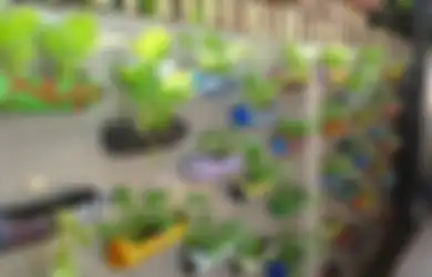 Berkebun Sayur jadi Tren 2021, agar Sukses Tanamlah Jenis Sayuran Ini