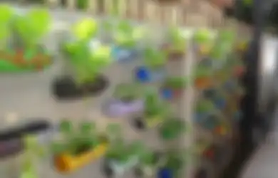 Berkebun Sayur jadi Tren 2021, agar Sukses Tanamlah Jenis Sayuran Ini