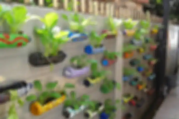 Berkebun di rumah dapat memanfaatkan dinding pembatas rumah.