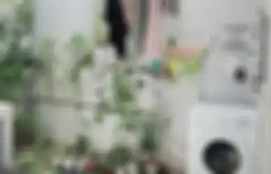 Untung Punya Tetangga Ahli Feng Shui, Ternyata Posisi Tempat Jemuran Ini Bikin Rejeki Seret, Coba Deh Ubah!