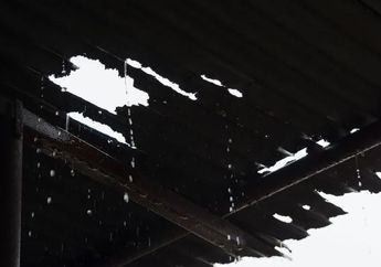 Arti Mimpi Rumah Bocor Karena Hujan Lebat Ternyata Punya Makna Mendalam yang Tak Bisa Disepelekan, Berikut Penjelasannya