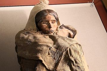 Penemuan mumi Tarim Basin mendorong peneliti untuk mengungkap peran mereka bagi sejarah manusia modern.