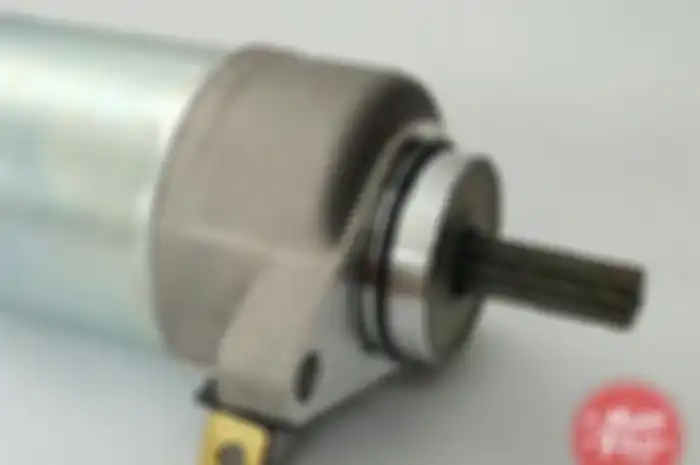 Dinamo Stater
