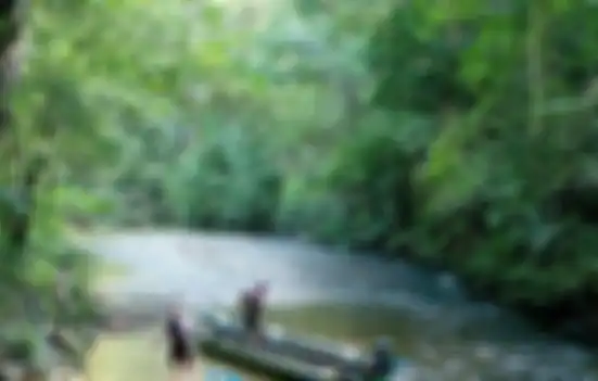 Tanah, hutan, dan sungai disimbolkan sebagai ibu, bapak, dan darah, dilestarikan sampai saat ini. 