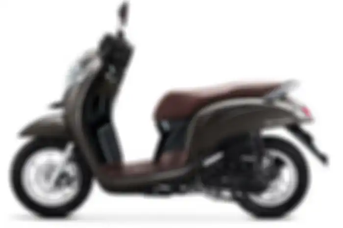 All New Scoopy Stylish Matte Brown