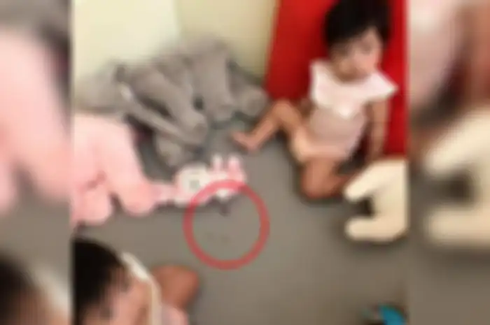 Seorang Ibu Histeris melihat Anaknya Makan Kecoak Bak Mengunyah Makanan Ringan