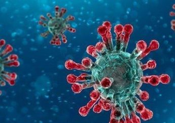 Tak Semengerikan yang Dibayangkan, Virus Corona Ternyata Mudah Hancur di Luar Tubuh Manusia, Ahli Virologi Beberkan Alasannya