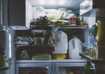 Tak Disangka! Hanya dengan Bahan-Bahan Ini, Kulkas Jadi Bebas dari Bau Tak Sedap, Tengok Caranya!