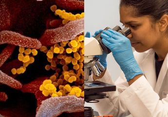 Berduri dan Bermahkota, Tampilan Virus Covid-19 Rupanya Mirip dengan  Sars dan Mers