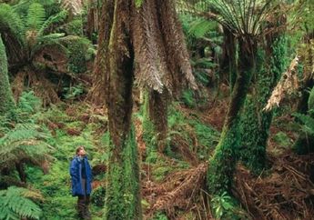 Unik! Benci Laki-laki, Begini Cara Perempuan Amazon Punya Keturunan