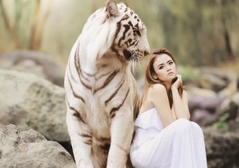 Arti Mimpi Dikejar Harimau Jinak Isyaratkan Adanya Persaingan Dalam Hidup, Waspada dengan Adu Domba!