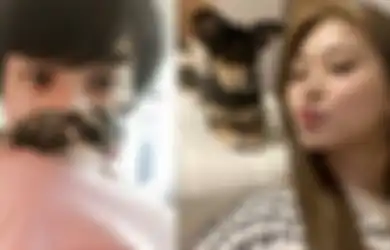 Menggemaskan, Ini Dia 4 Idol yang Suka Berinteraksi dengan Hewan