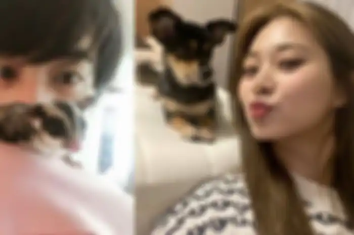 Jin BTS dan Tzuyu TWICE