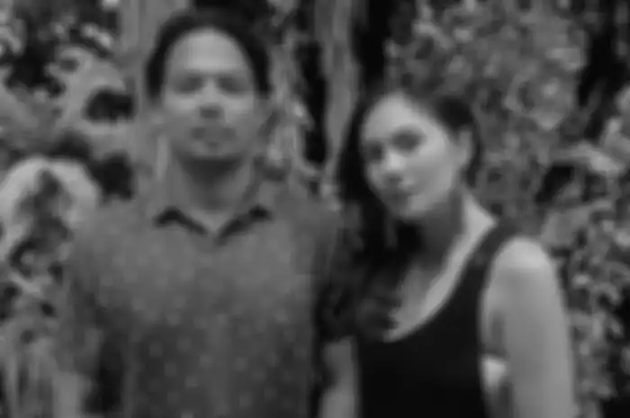 Wulan Guritno gugat cerai Adilla Dimitri