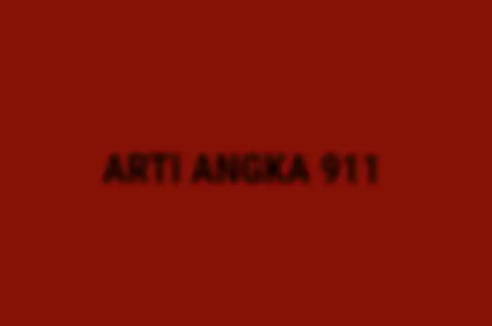Arti Angka 911 dalam bahasa gaul