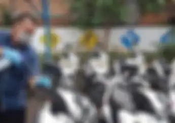 Tetap Buka Saat PPKM Darurat, Kapasitas Satpas SIM Berkurang Drastis
