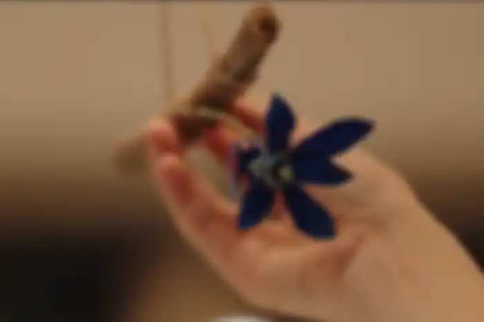 Drama Korea Little Women