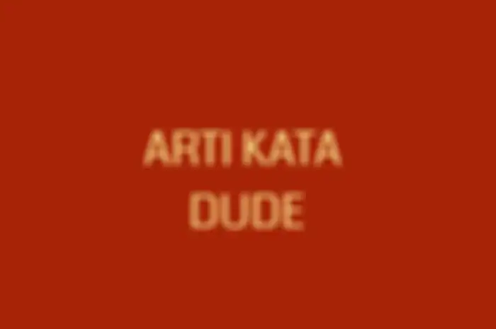 Arti kata Dude