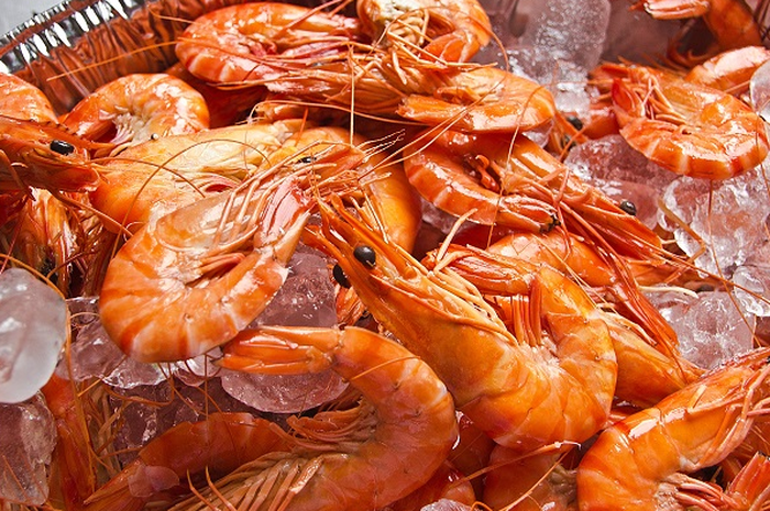 Ilustrasi Udang 