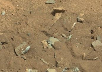 Ada Tulang Paha Terdampar di Mars, Benarkah Planet Merah Menyimpan Kehidupan? Ini Jawaban NASA!